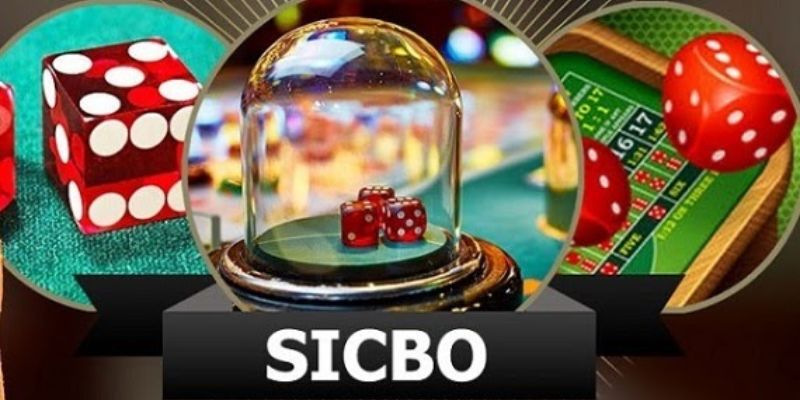 Cược tài xỉu là cược dễ chơi nhất Sicbo Kubet77