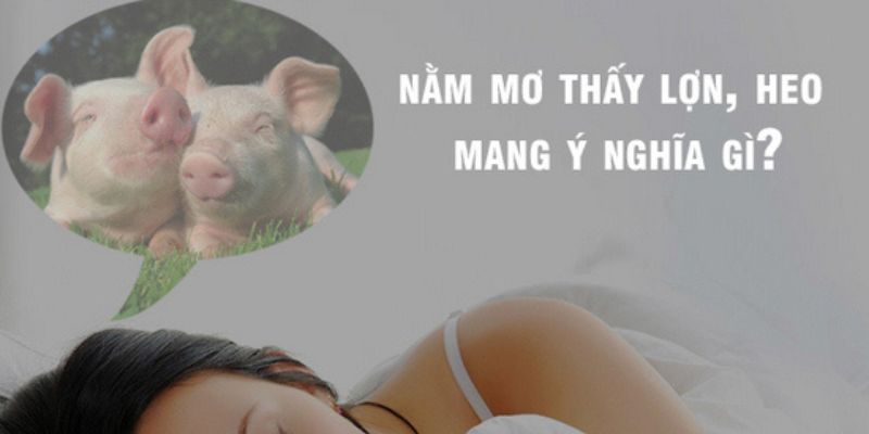 Mơ thấy heo có ý nghĩa gì trong cuộc sống